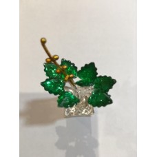 Silver Tulsi ornamental plant